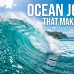Ocean Jokes That Make Waves
