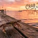 Crab Jokes That Pinch